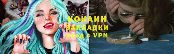 гашик Магас